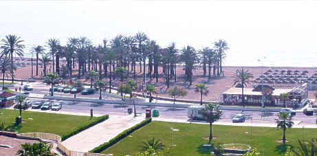 vhled z hotelu Parasol Garden