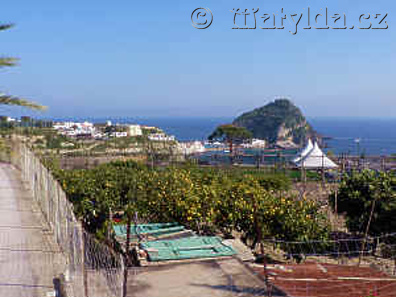 Ischia Succhivo - Hotel CASA NICOLA**