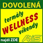 Termly a Wellness  ATIS