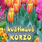 Kvtinov korzo