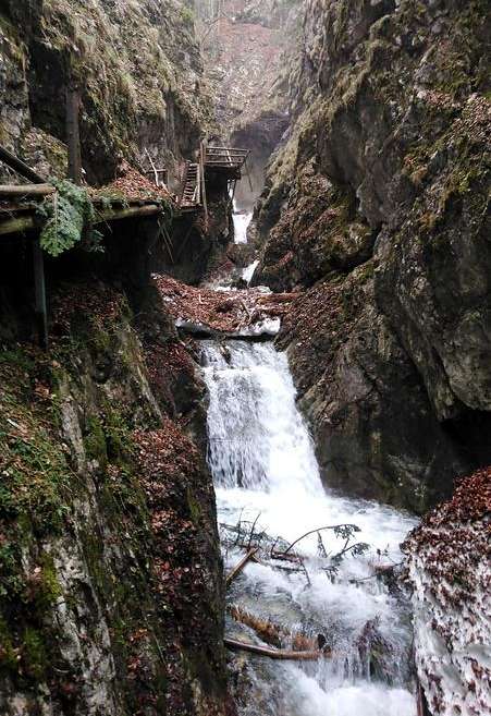 Dr. Vogelgesang-Klamm