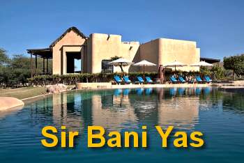 Sir Bani Yas