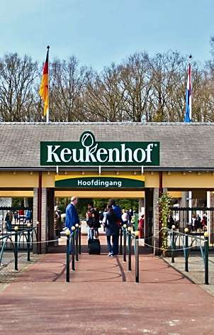 Keukenhof 